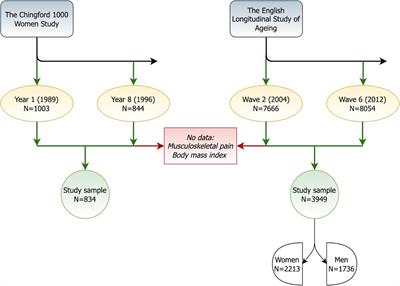 Prevalence, incidence, and re-occurrence risk of musculoskeletal pain in older adults in the United Kingdom: a population-based study